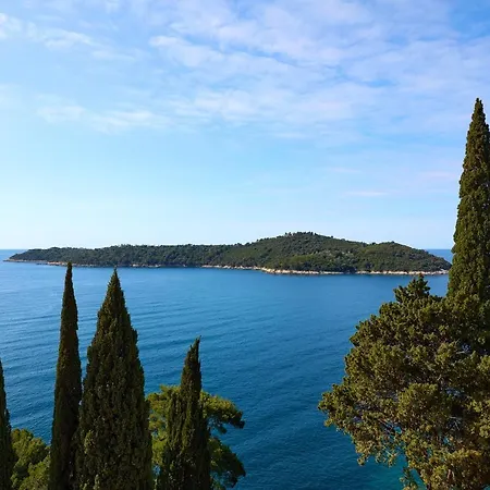 Διαμέρισμα Ana *